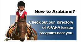 new_to_arabians